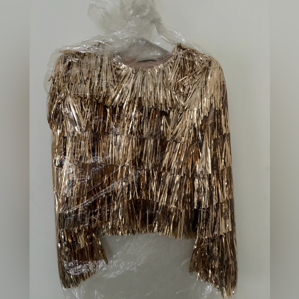 Gold Fringe jacket great condition. Worn for photos shoots and one big event.